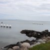 IMG_7284